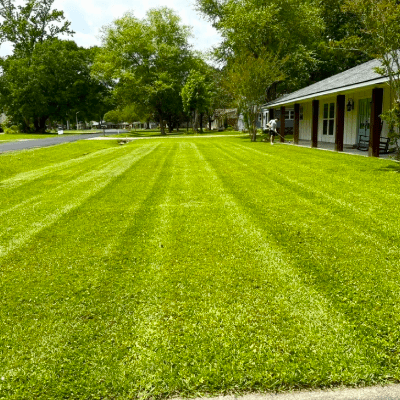 Lawn Mowing